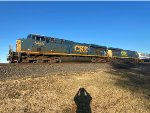 CSX Freight Train at Caseyville IL